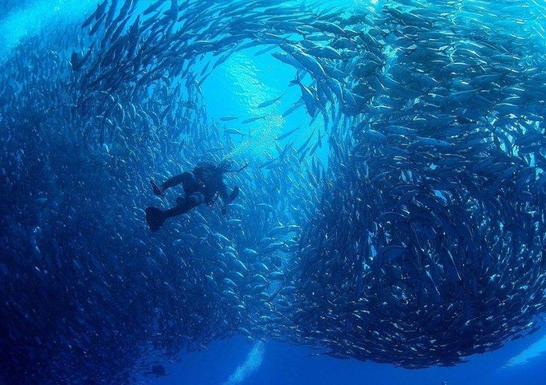 “冷资源”赋能“热经济” 黑龙江奋力打造冰雪经济新增长极